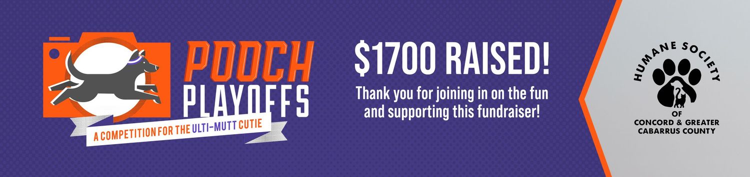 Sports fundraising banner showing $1700 raised with playoff graphics.