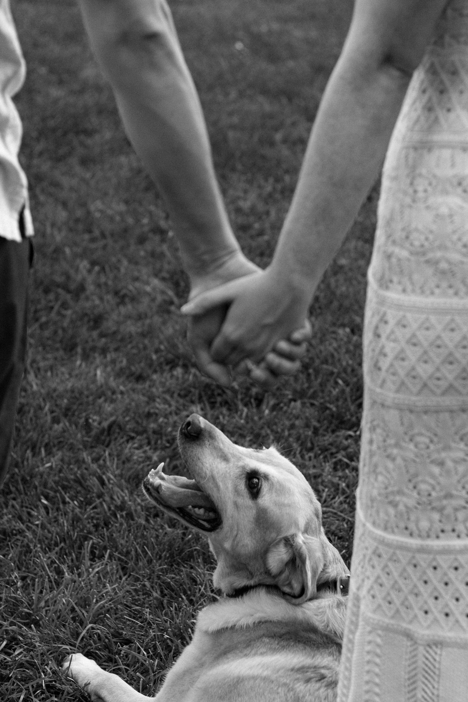 A black and white photo of a dog lying on grass next to someone wearing a lace dress.