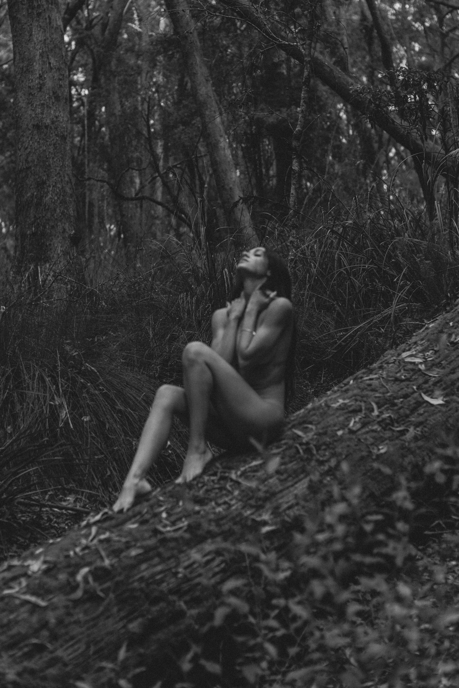 Women Photography in Nature, Artistic portraits