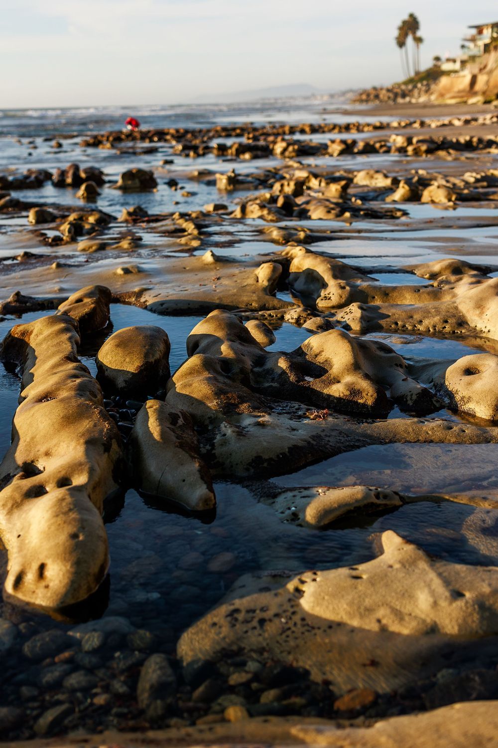 Weathered rocks and tide pools dot the shoreline at sunset creating dramatic shadows along a California beach.