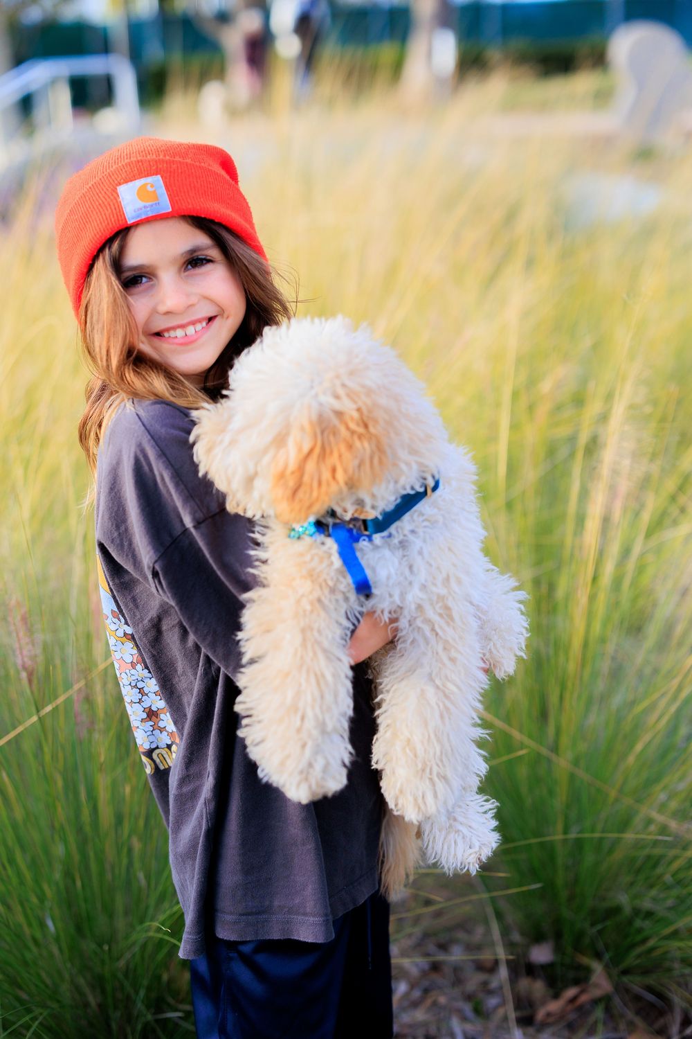Person wearing orange hat and brown sweater hugs fluffy white Goldendoodle puppy in front of tall ornamental grasses at park.