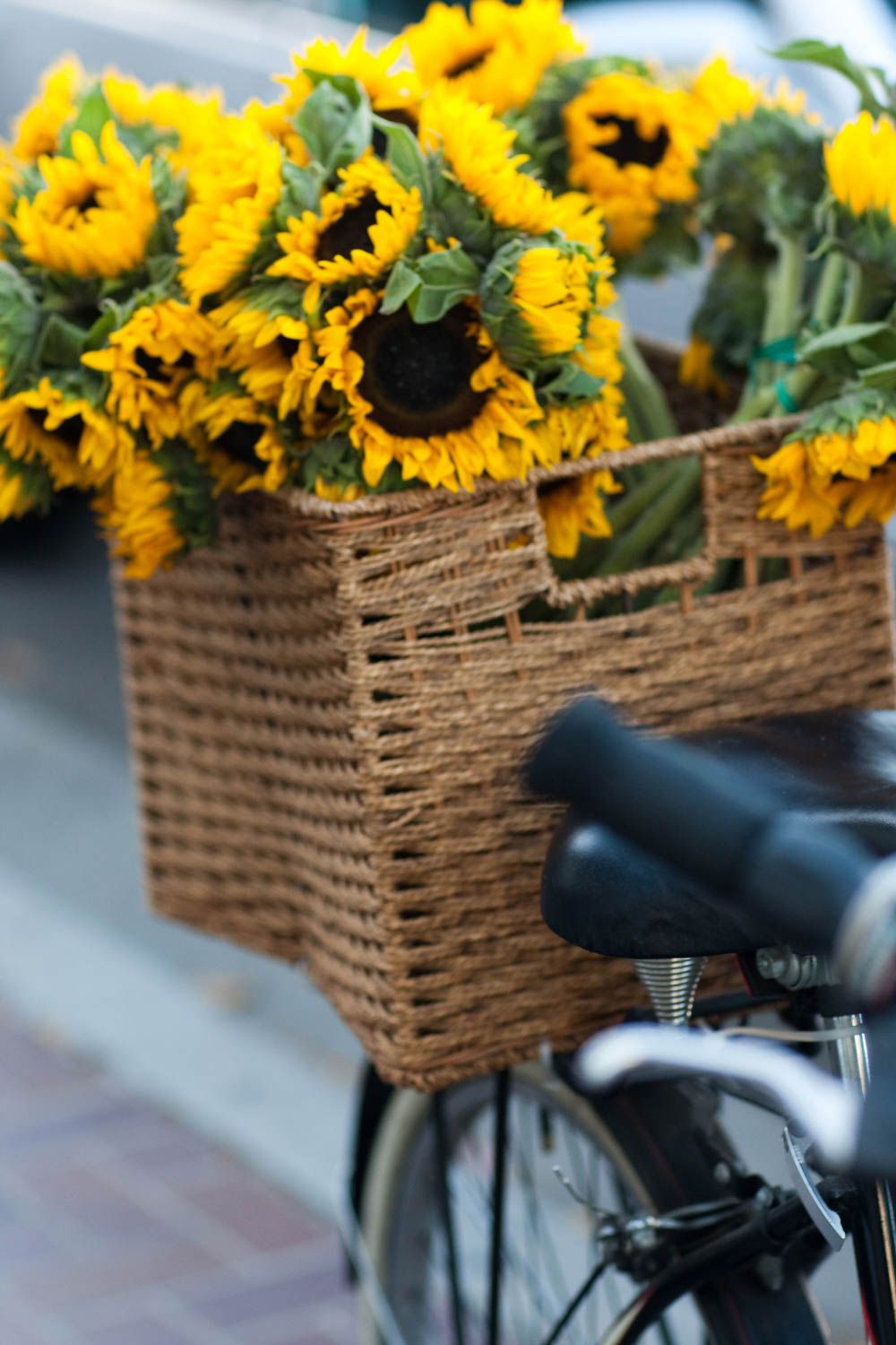 A vintage bicycle with a brown wicker basket filled with bright yellow sunflowers on the handlebars.