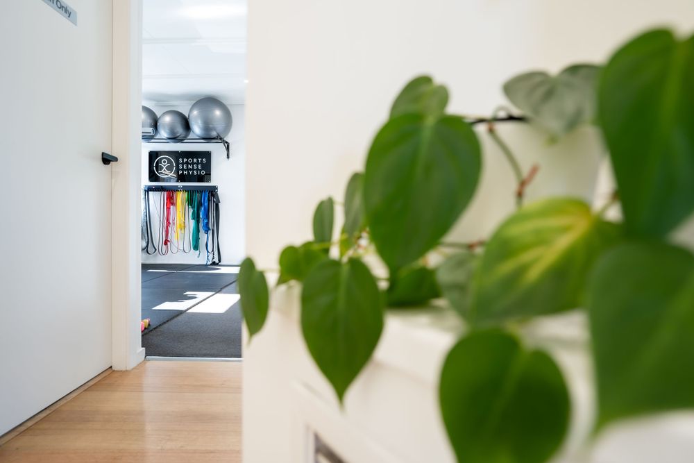 Indoor plant leaves framing a hallway view of a minimalist interior space.