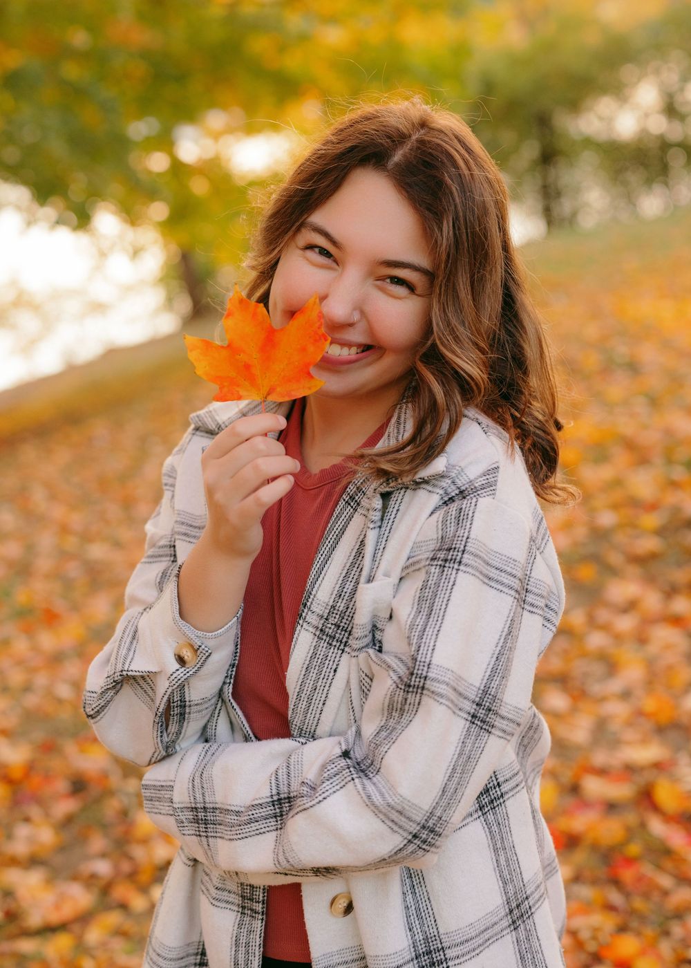 Someone in a plaid flannel jacket holds autumn leaves while sitting in a park with golden fall foliage in the background.