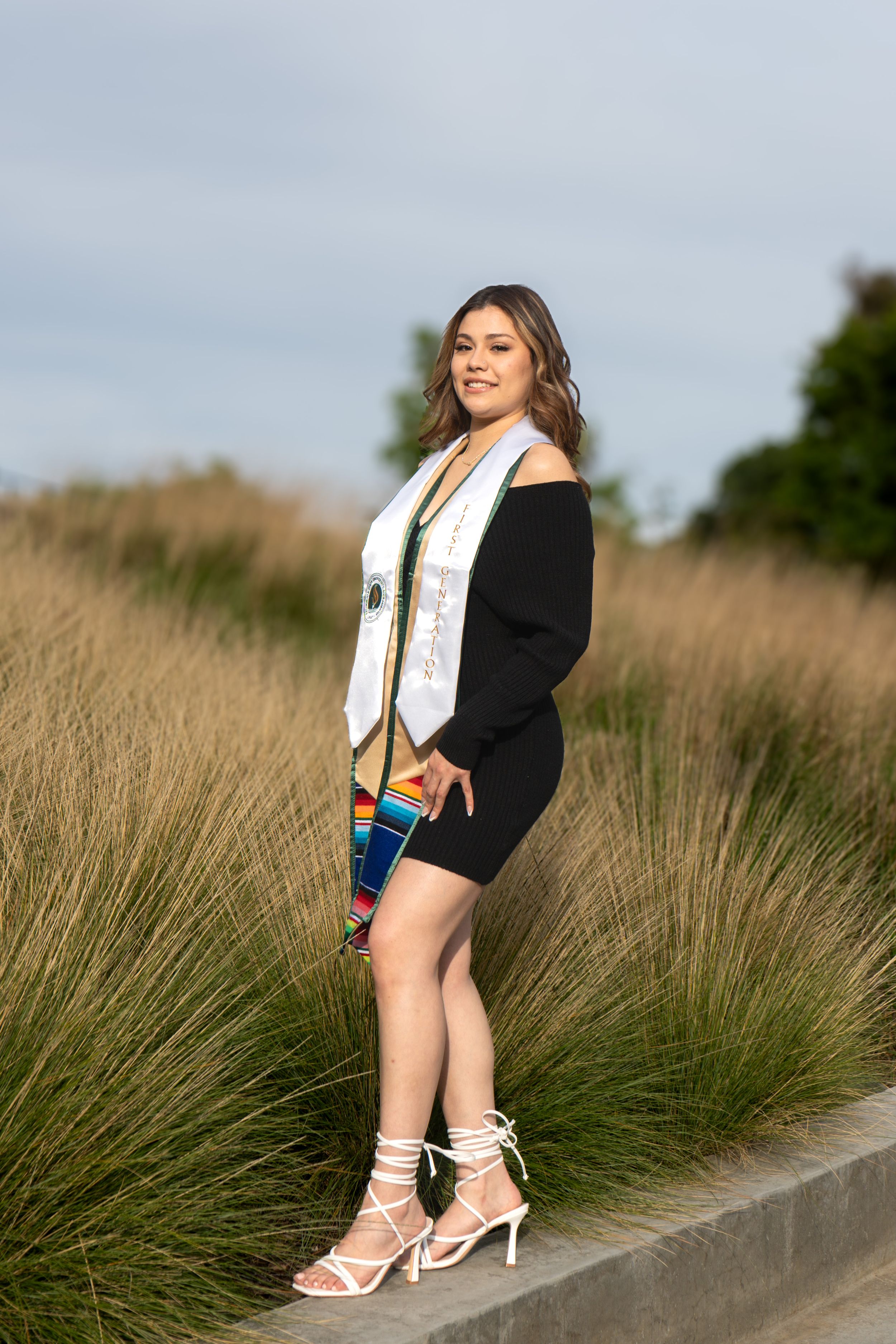 Graduate in black dress and colorful stole poses beside ornamental grasses outdoors.