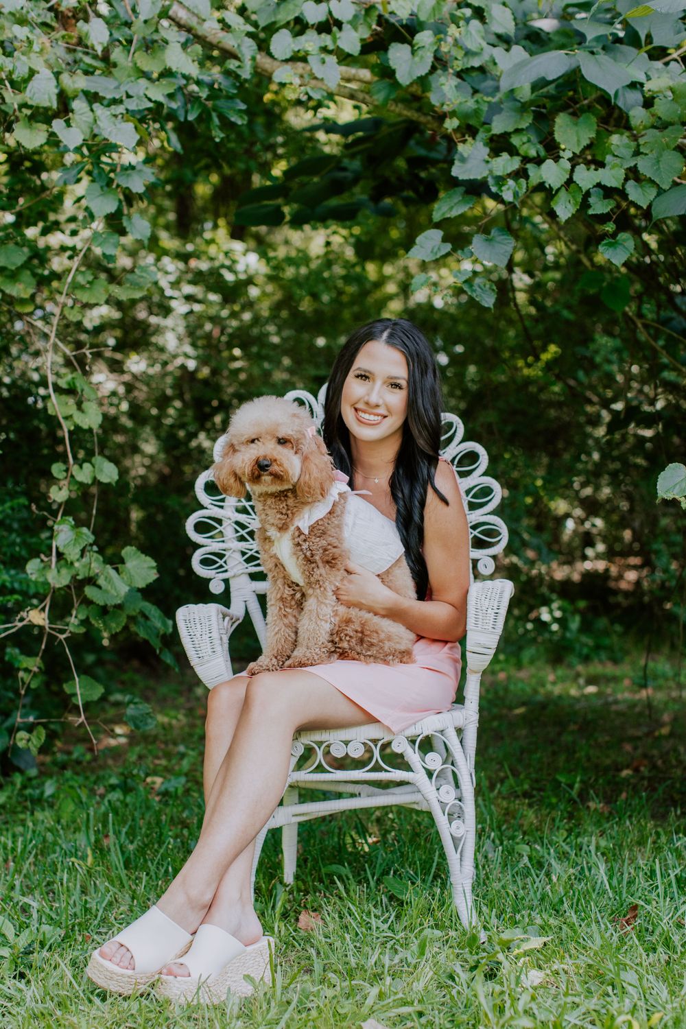 Someone in a pink dress sits in an ornate white wicker chair outdoors holding a small goldendoodle dog on their lap.