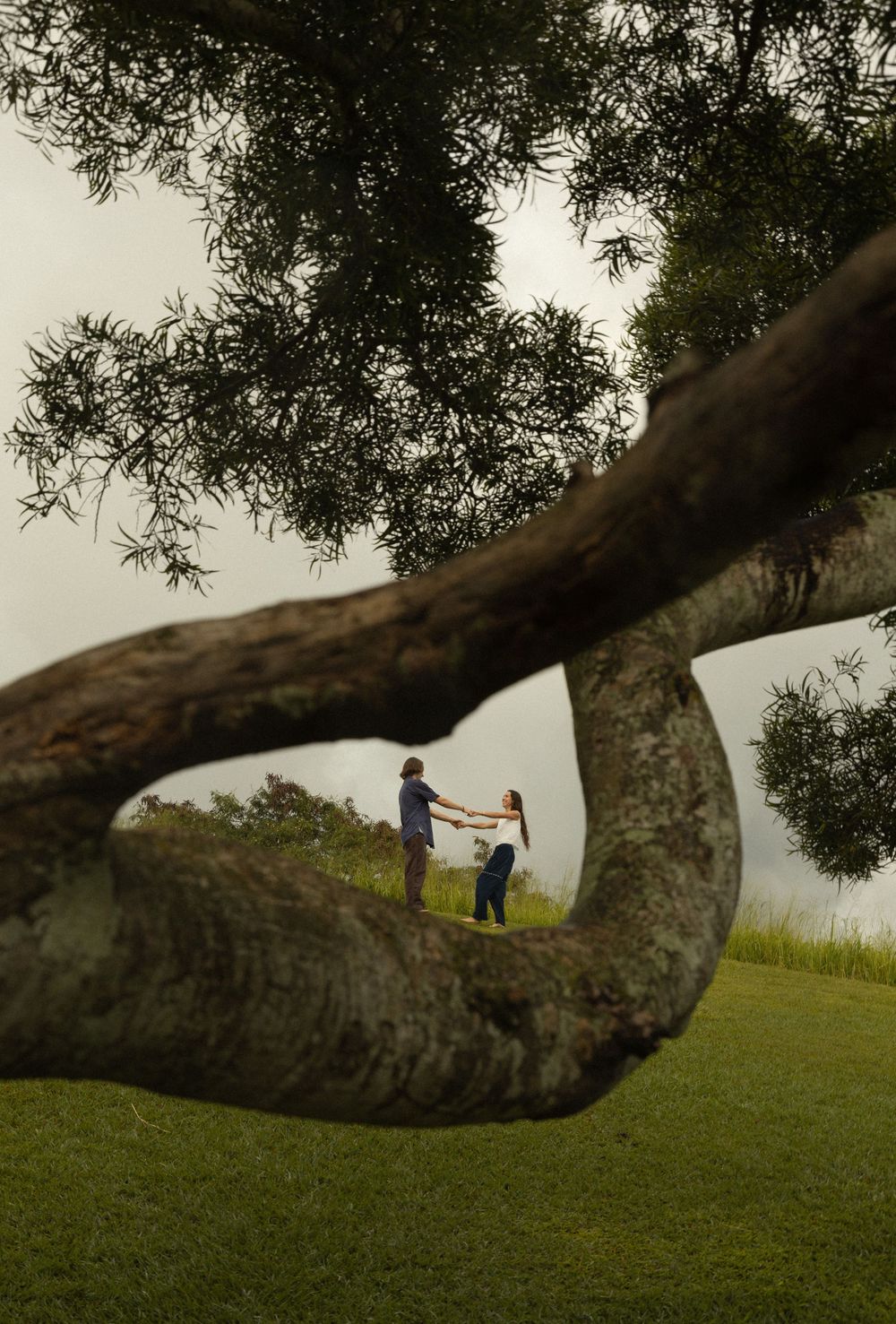 Two silhouettes stand together framed by a curved tree branch against a misty landscape at dusk.