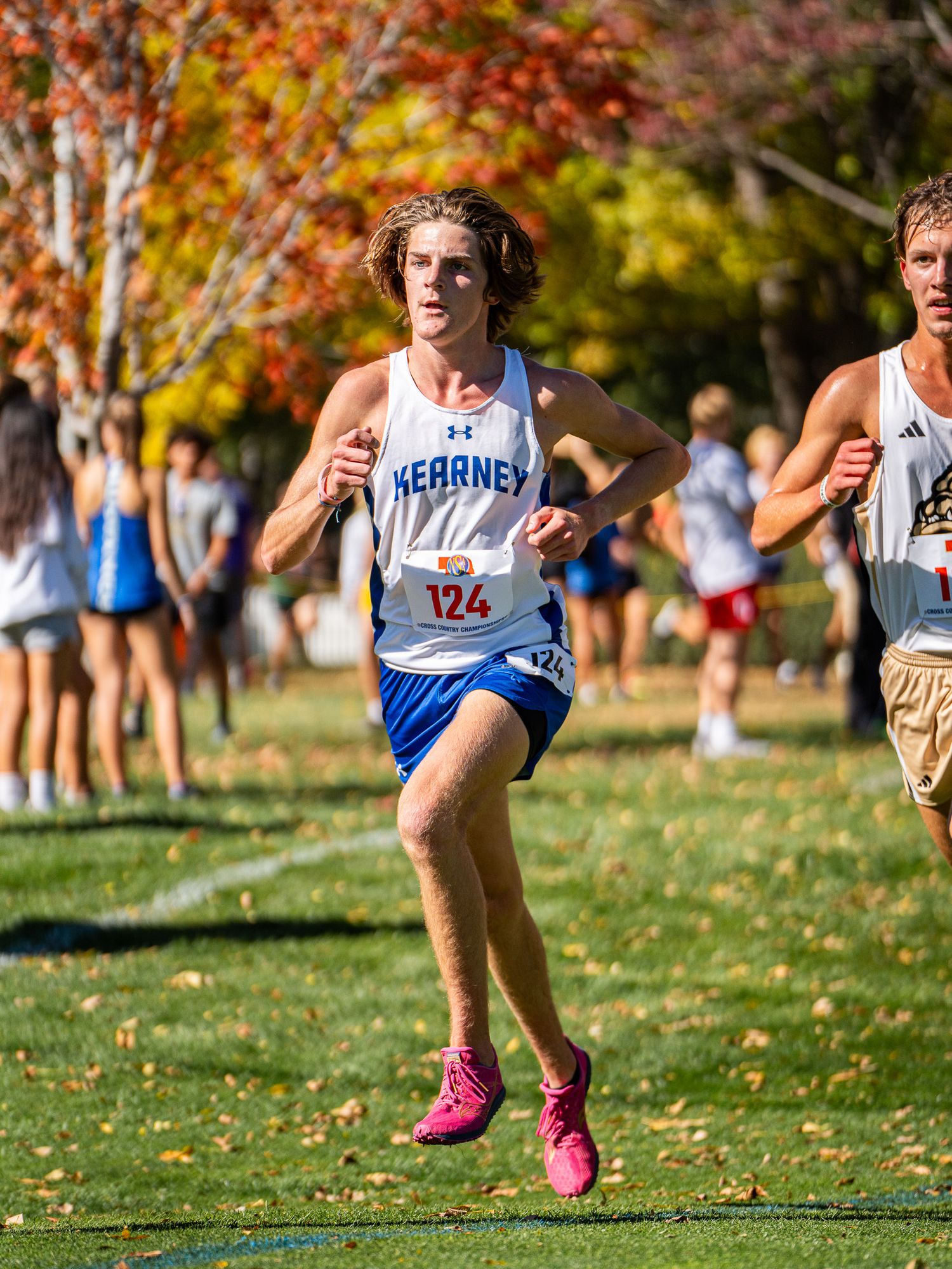 A cross country runner in blue jersey competes during an autumn race.