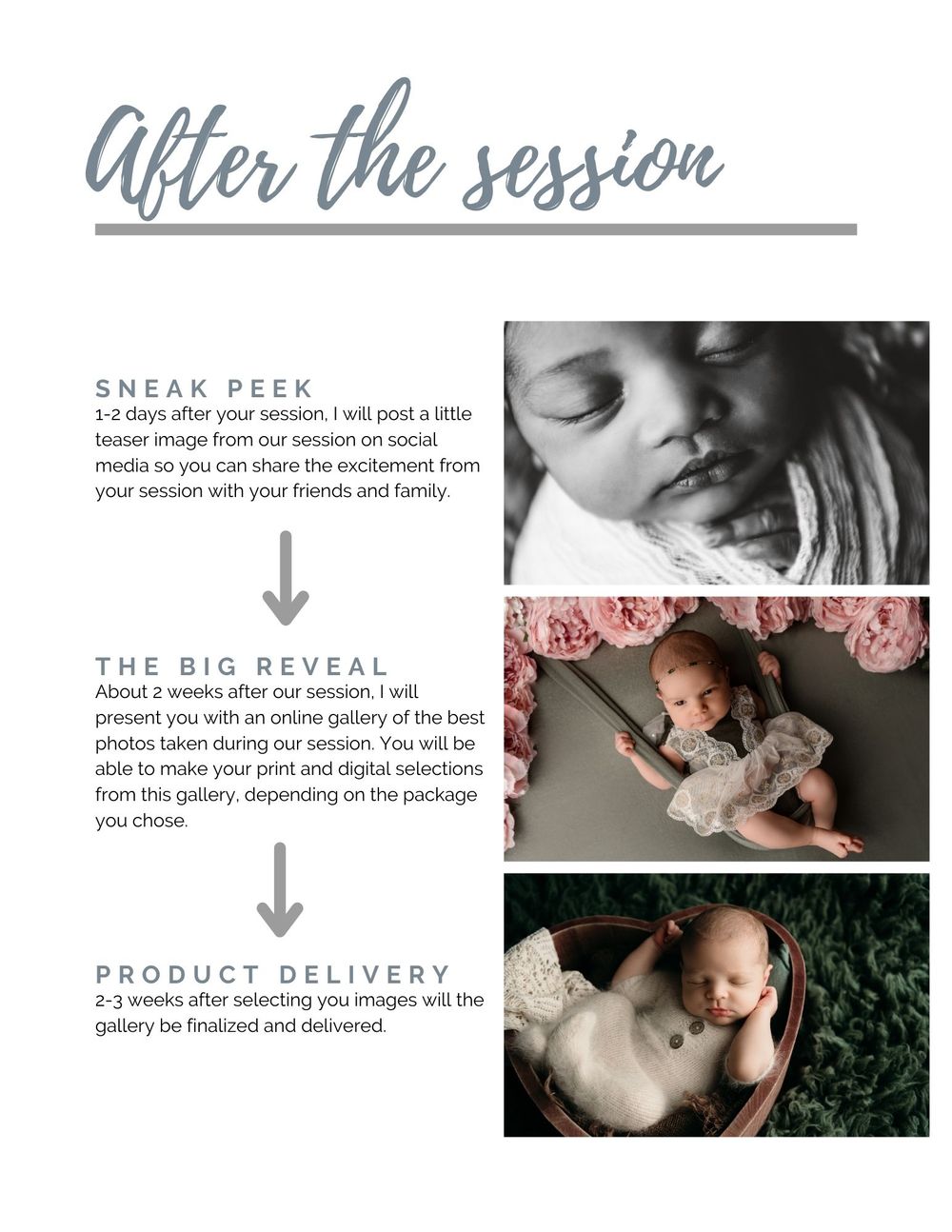 Post-session guide showing timeline and sample photos for newborn photography delivery process.