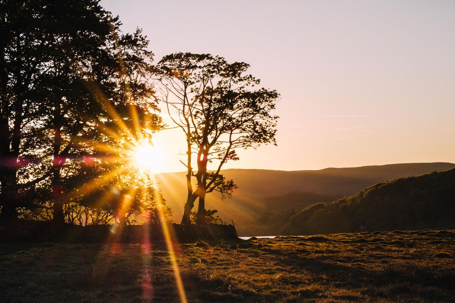 Golden sunlight bursts through trees at sunset creating dramatic silhouettes against a pastel sky.