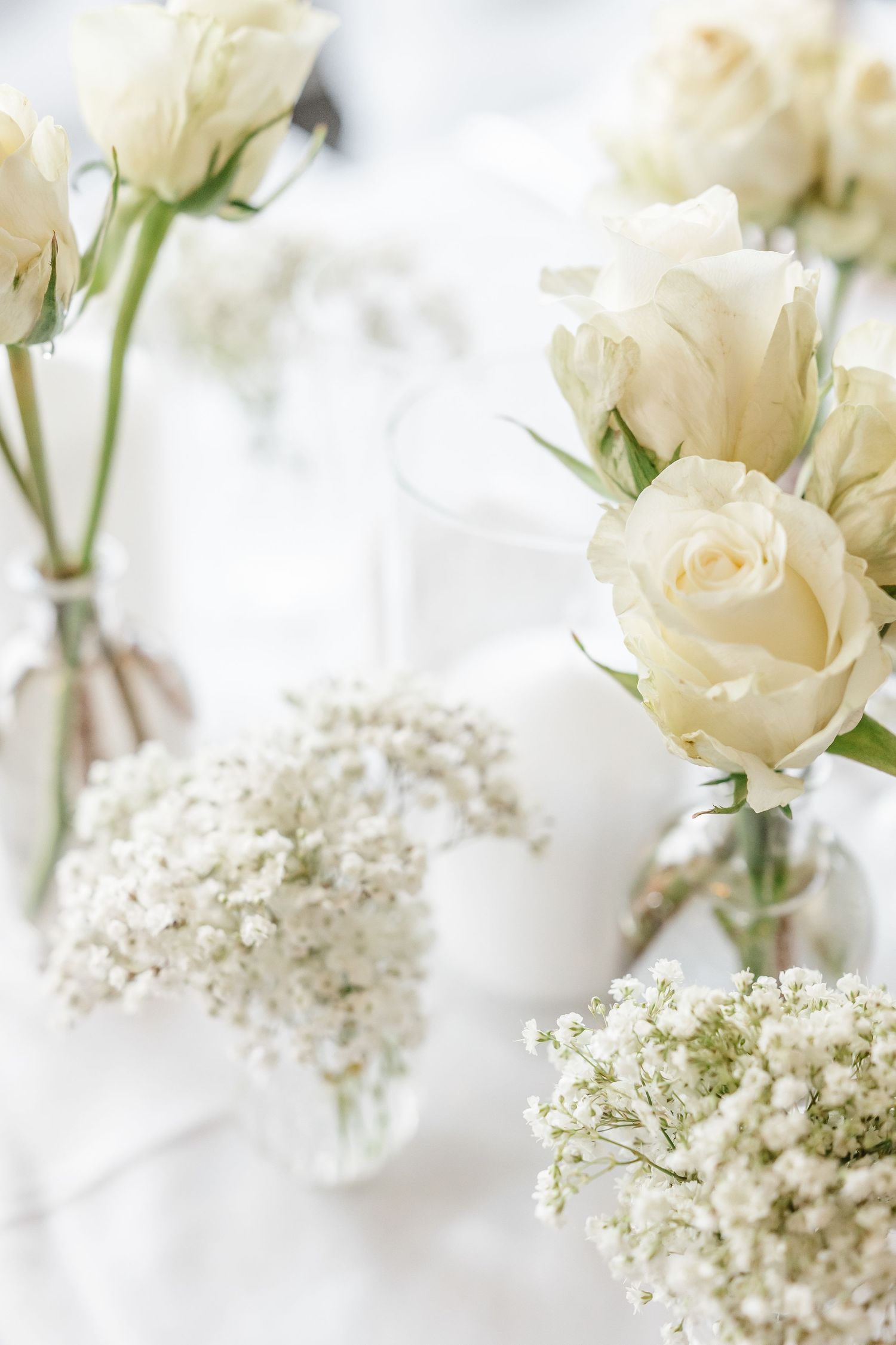 Elegant white roses and baby's breath flowers arranged in delicate glass vases on a light background.