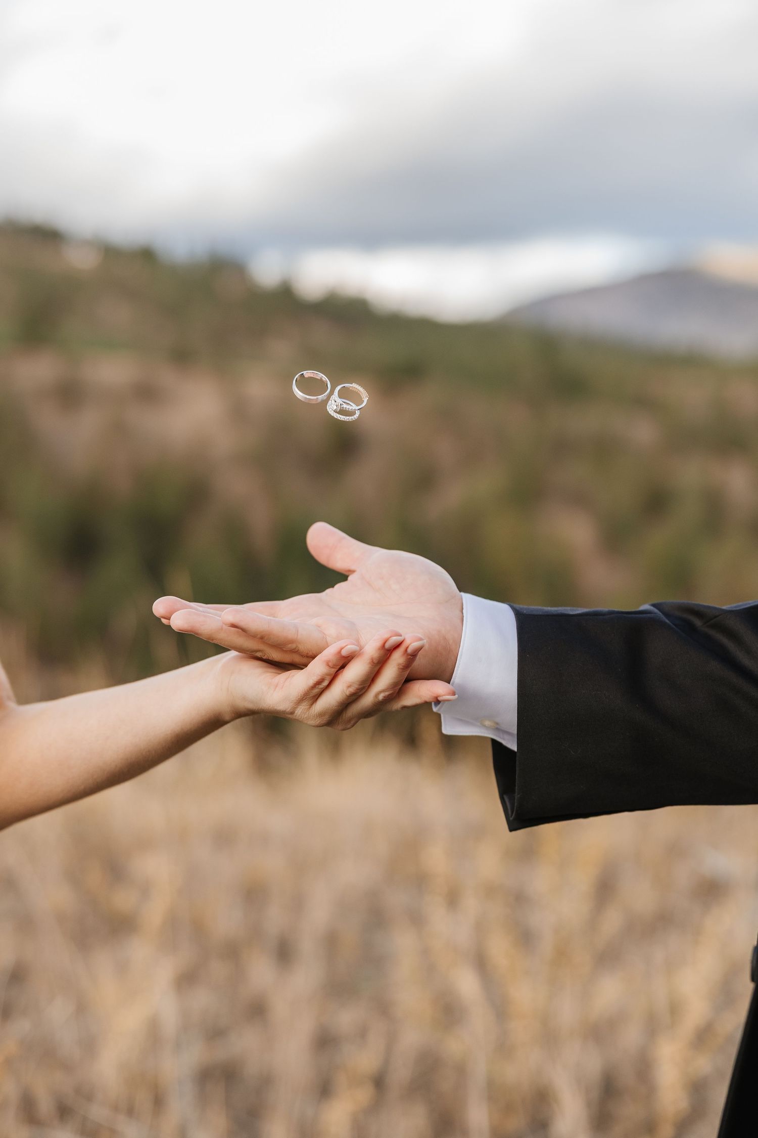Wedding rings hover above outstretched hands against a blurred natural outdoor background.