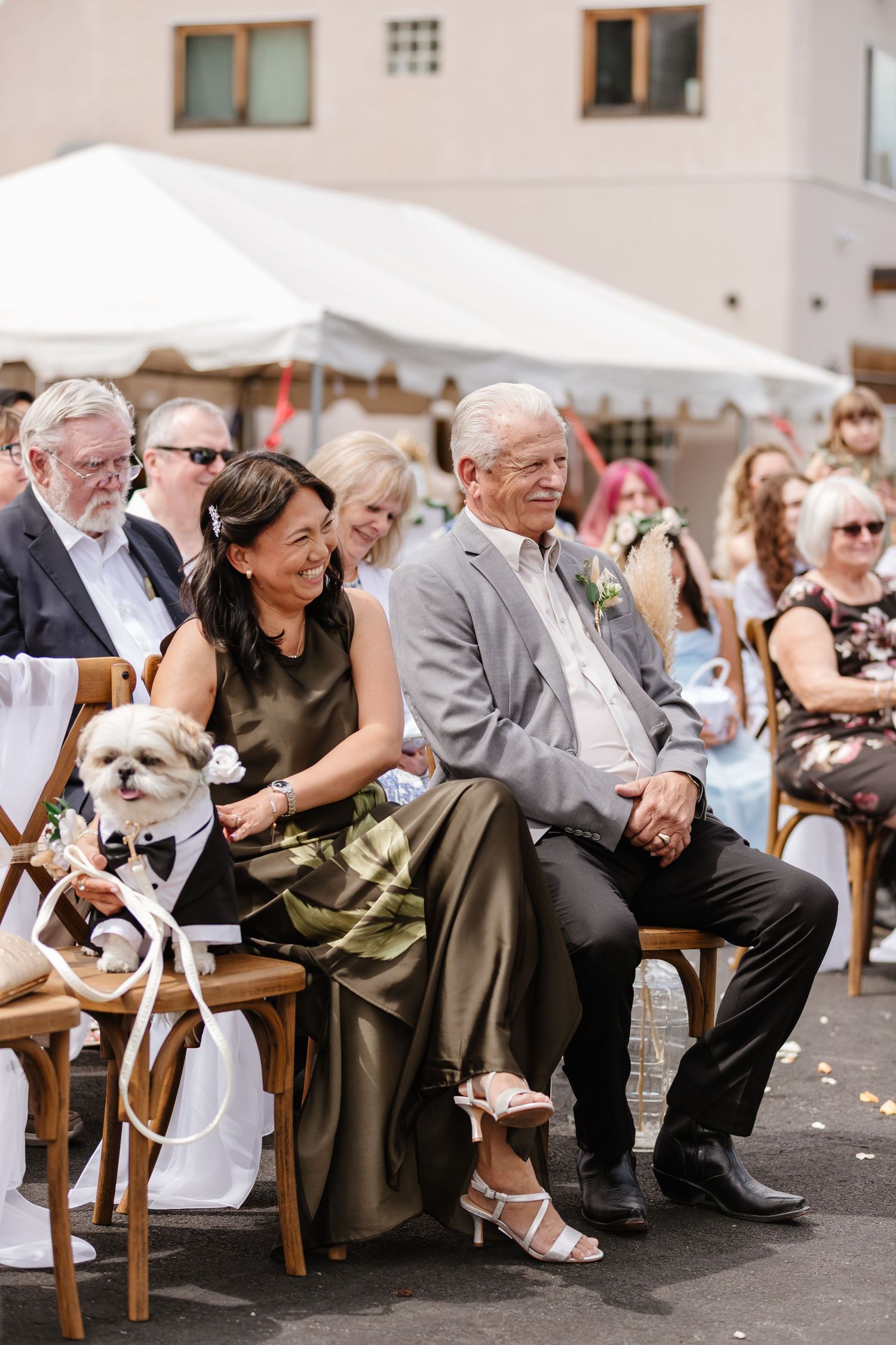 Wedding guests seated outdoors with a small dog wearing formal attire in the front row at a daytime ceremony.