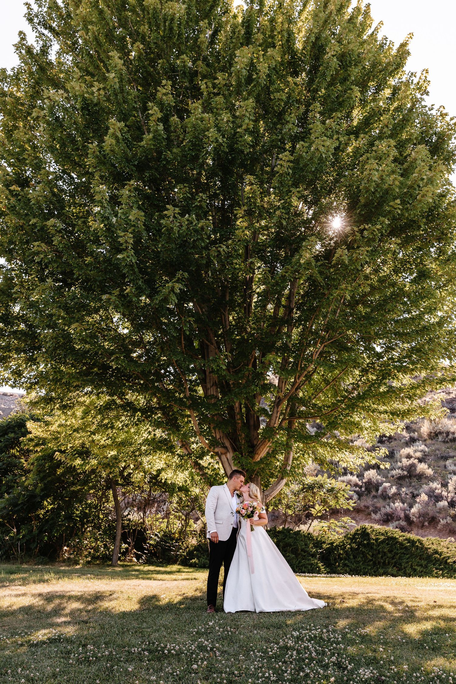 A couple in wedding attire stands beneath a large green tree with sunlight peeking through the branches.