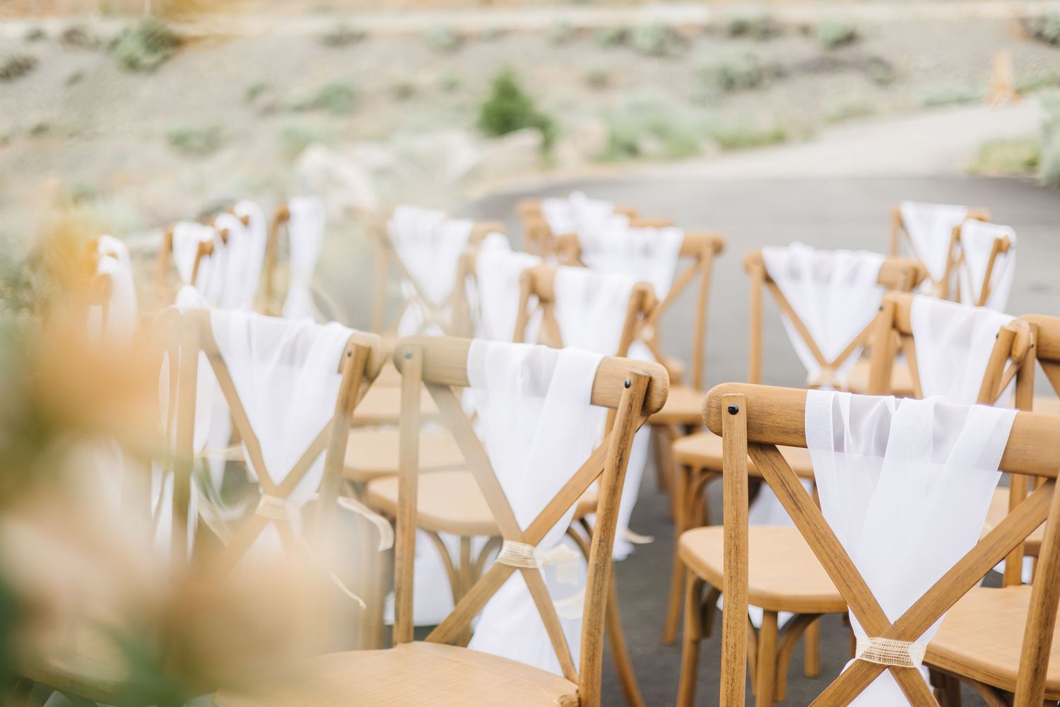 White wooden chairs arranged in rows for an outdoor wedding ceremony with soft natural lighting.