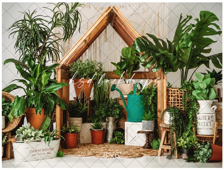 Wooden house-shaped plant stand filled with lush tropical plants and decorative pots against a white wall.