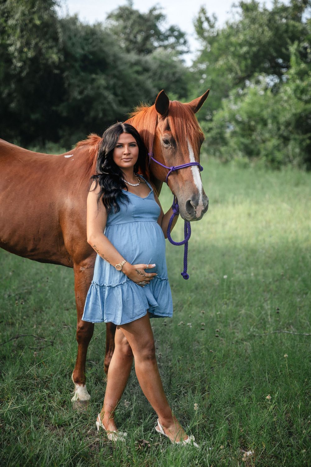A brown horse stands in a grassy field with someone in a blue dress on a summer day.
