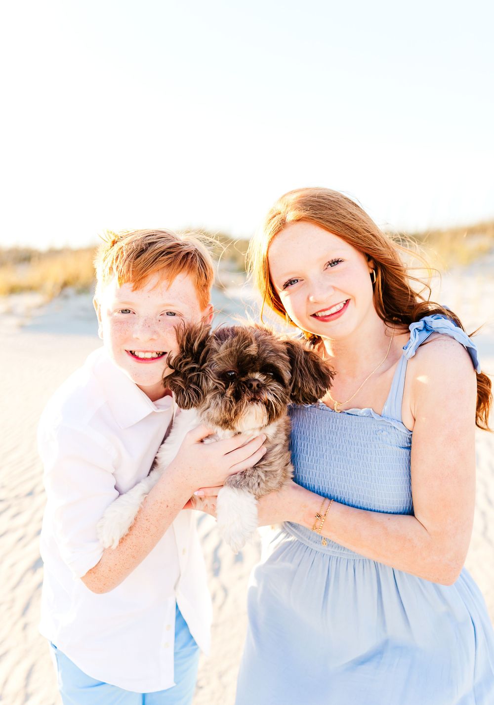 Two people holding a small fluffy dog while standing on a sandy beach in bright sunlight.
