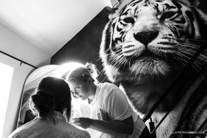 Black and white photo of two women getting ready beside a van decorated with a large tiger face mural.
