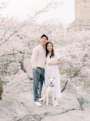 Jeanie Jang Photo NYC Maternity Photographer New York Family Photographer Central Park Cherry Blossom