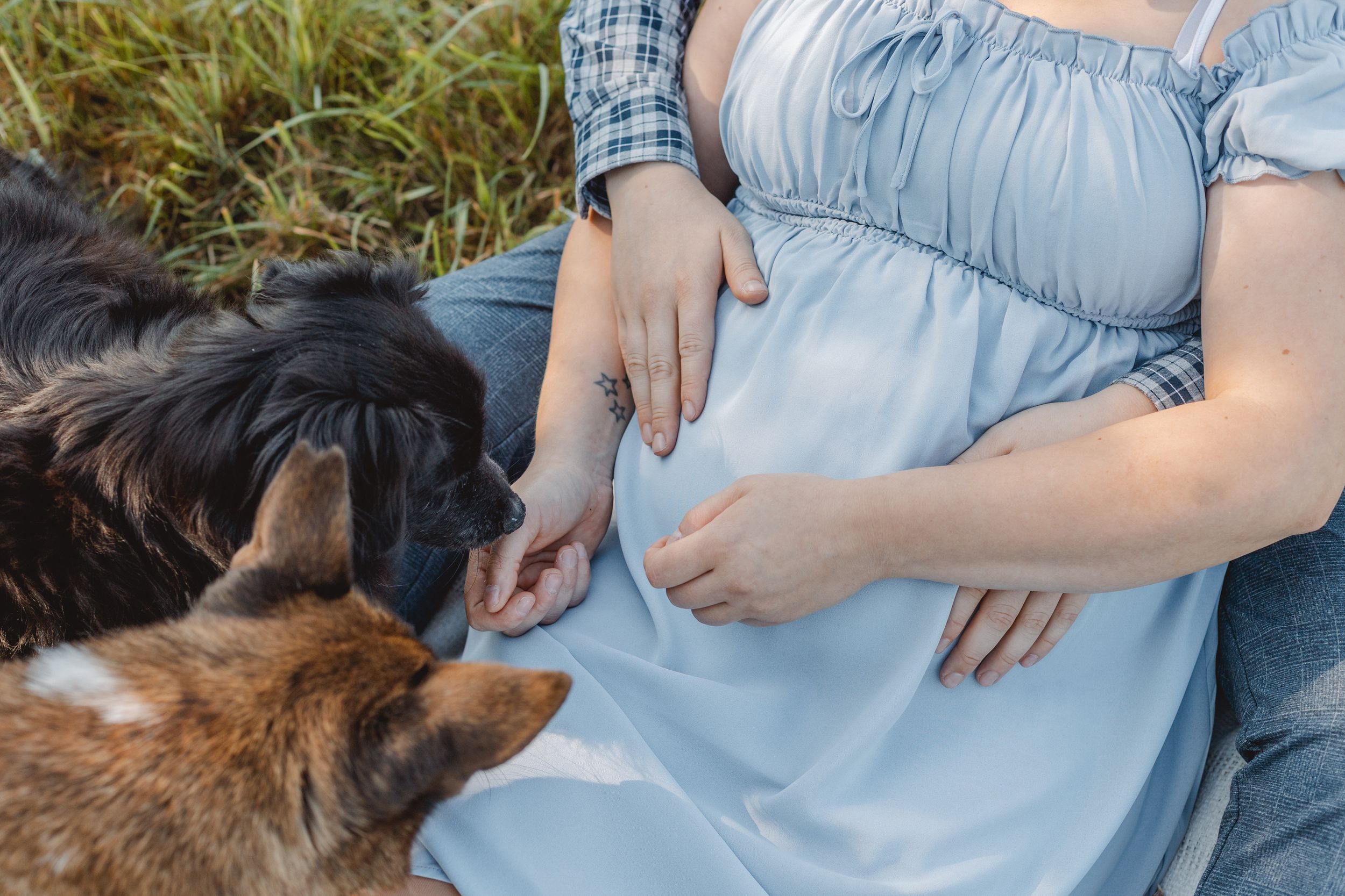 Familienmomente - Familienfotograf in Grimma, Leipzig und Umgebung, natürliche Babybauchfotografie