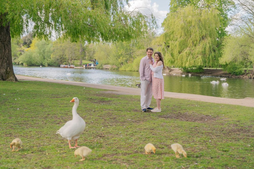 Couple in pink outfits posing by a pond with white geese and goslings in a lush green park.