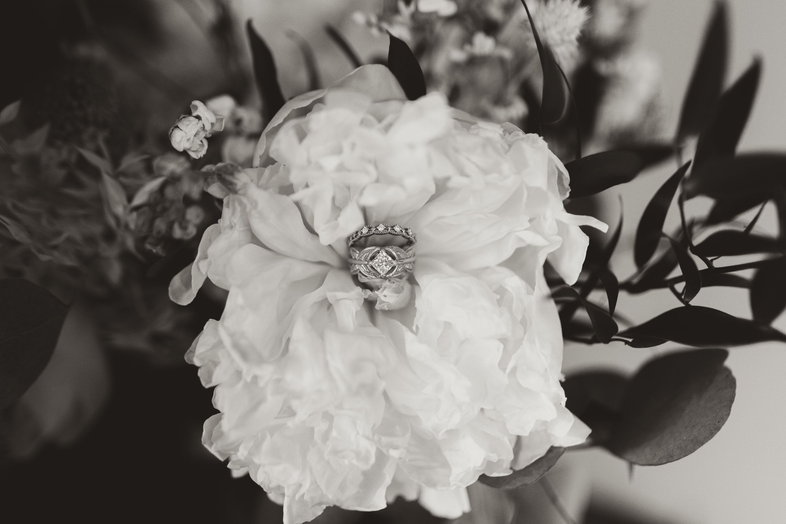 Close-up details of elegant white floral arrangements with soft petals in black and white.