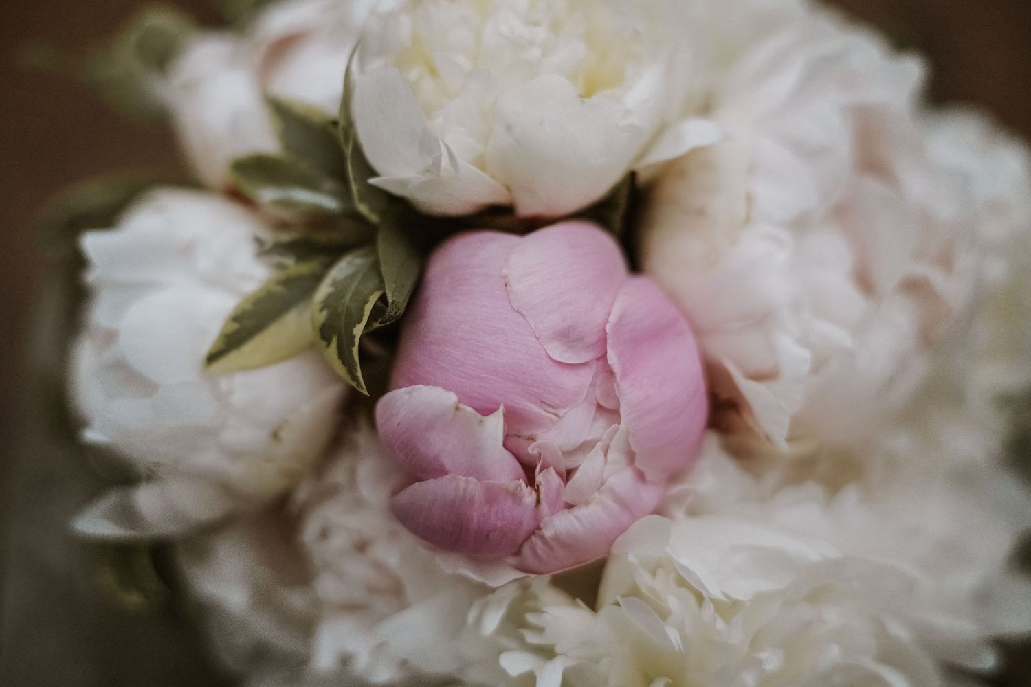 Wedding detail shot of orange roses and dried flowers with guest book.