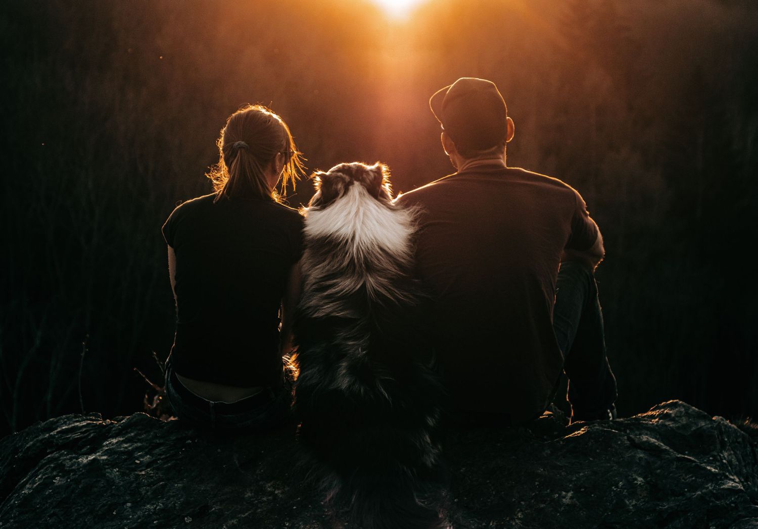 Silhouettes of people against a dramatic sunset creating a moody atmospheric scene.