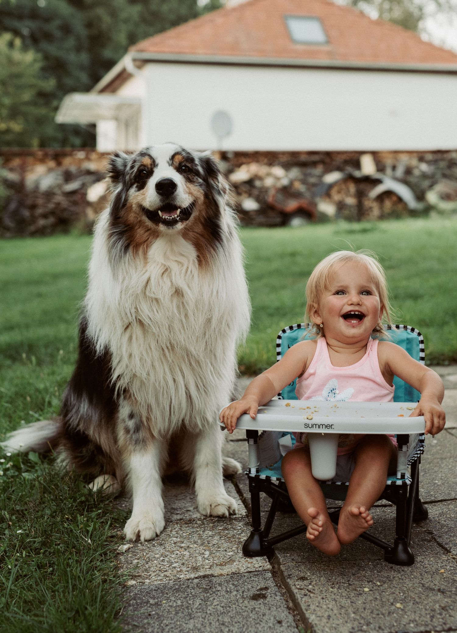 A fluffy Australian Shepherd dog sits next to a laughing child on a garden path.