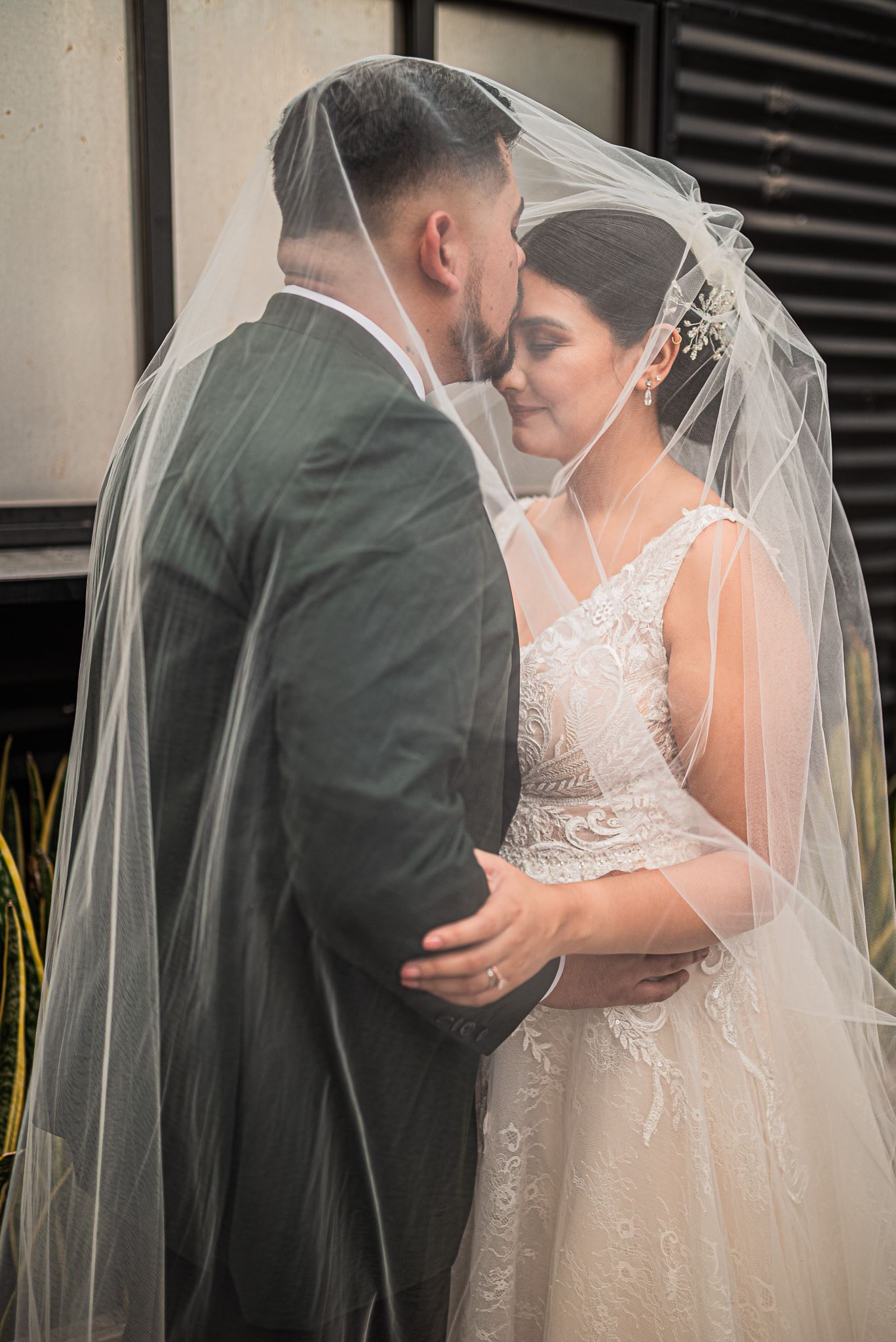 Wedding at Valle de Guadalupe / Wedding Photographer