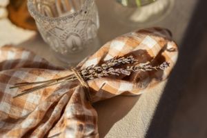 A brown and white plaid bow accessory cast in soft sunlight showing delicate fabric texture and folds.