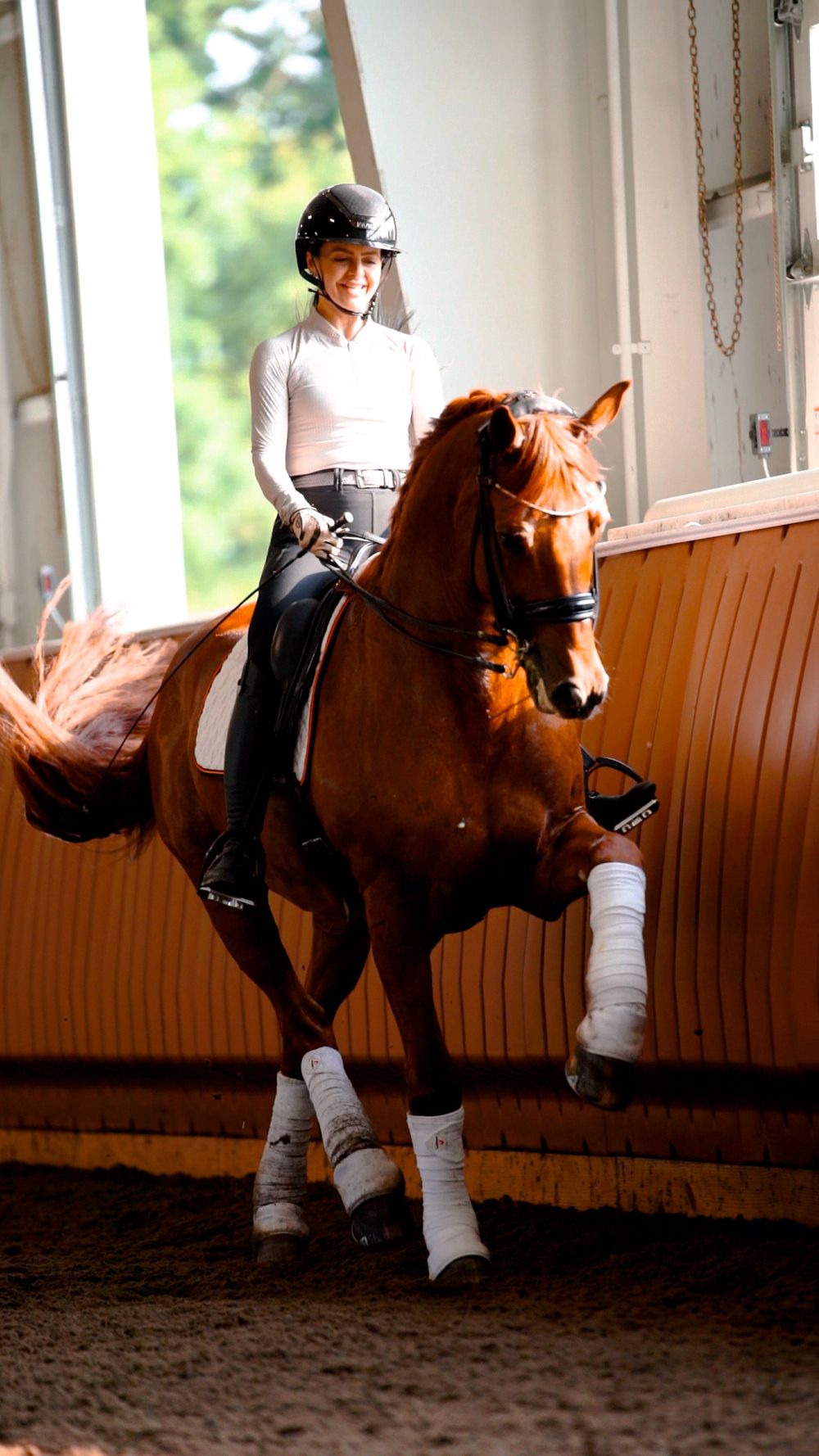 Sequence of four action shots showing a rider practicing vaulting moves on a brown horse in an indoor arena.