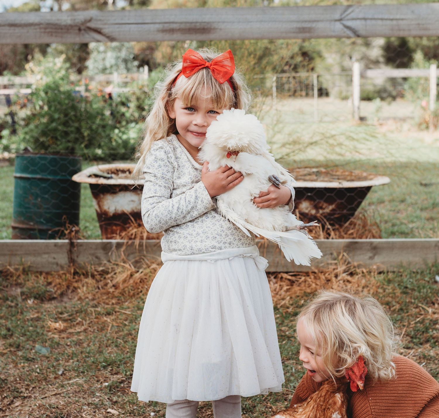 Two children interact with a fluffy white rabbit in an outdoor farm setting.
