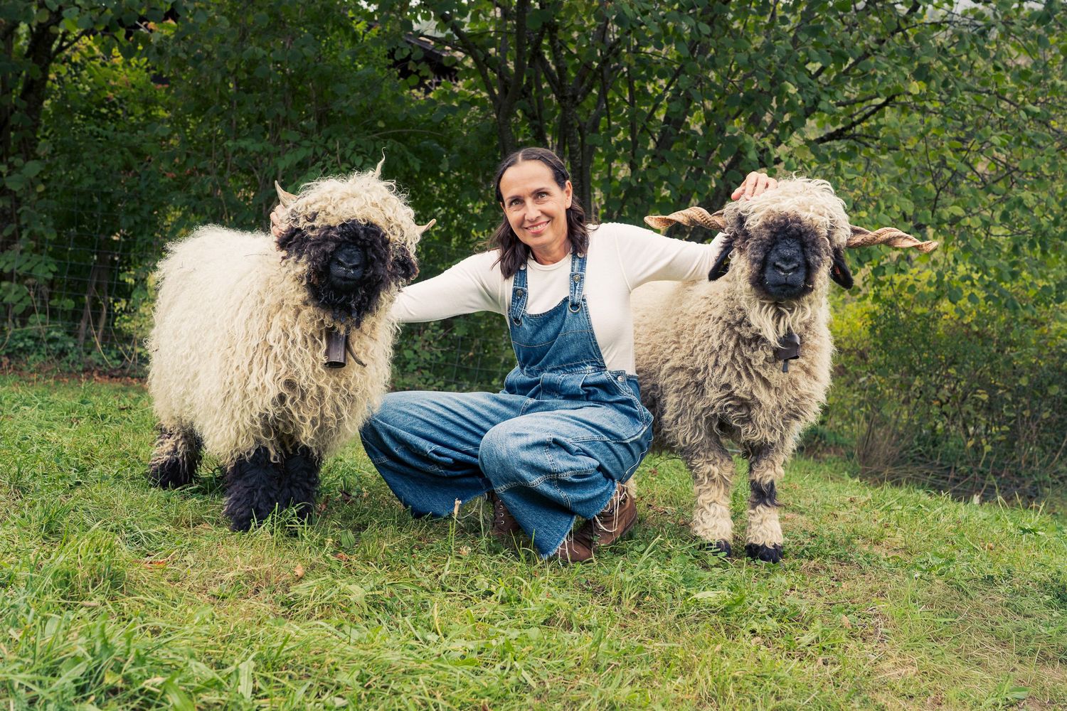 Woman crouching between two fluffy Valais Blacknose sheep on green grass with trees in background.