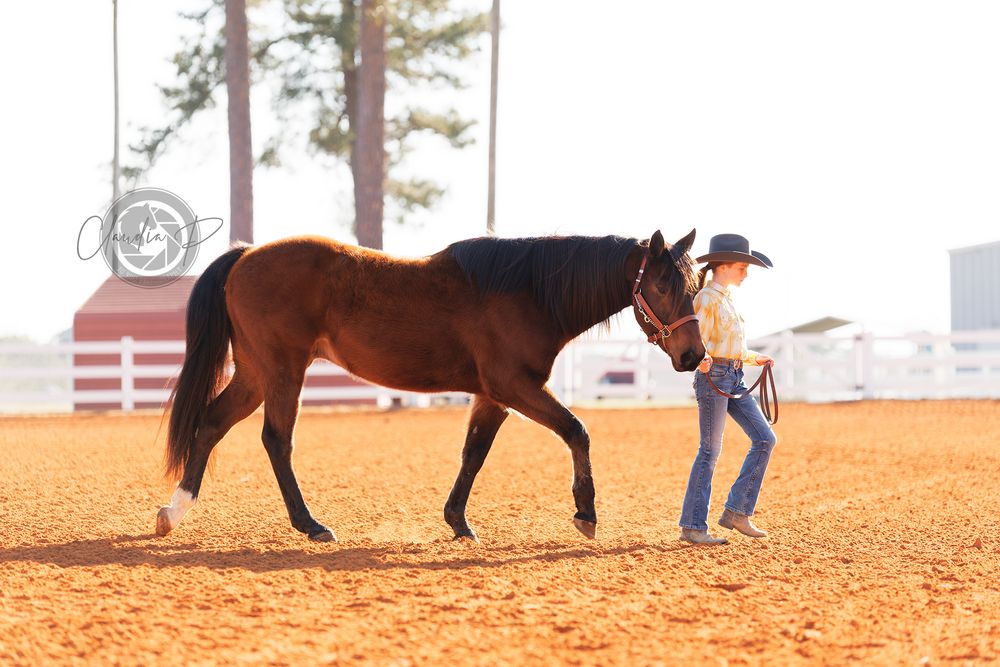 Woman in western attire leads a bay horse across a sandy arena during an equine showmanship class.