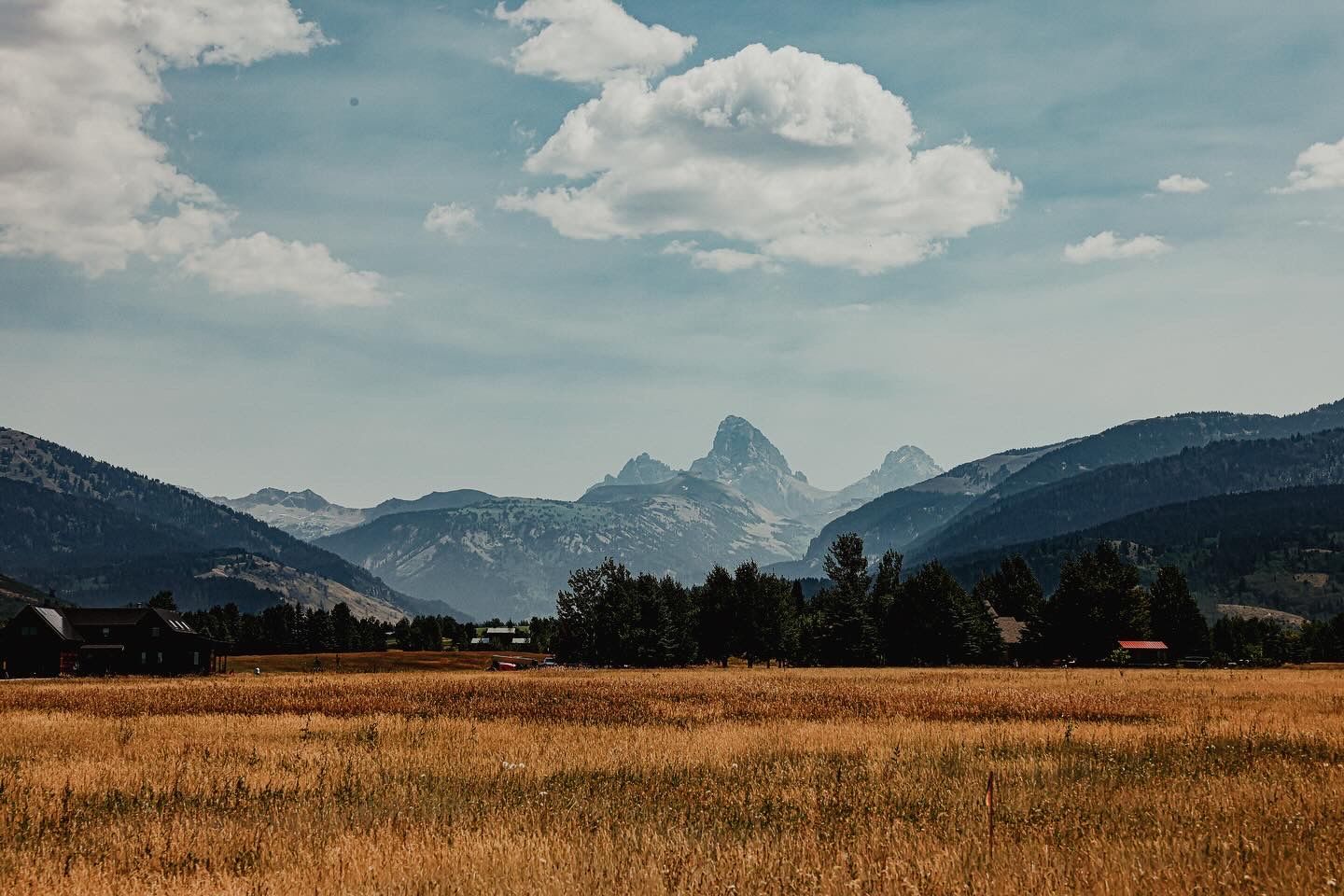 Panoramic mountain landscape with golden fields and snow-capped peaks.