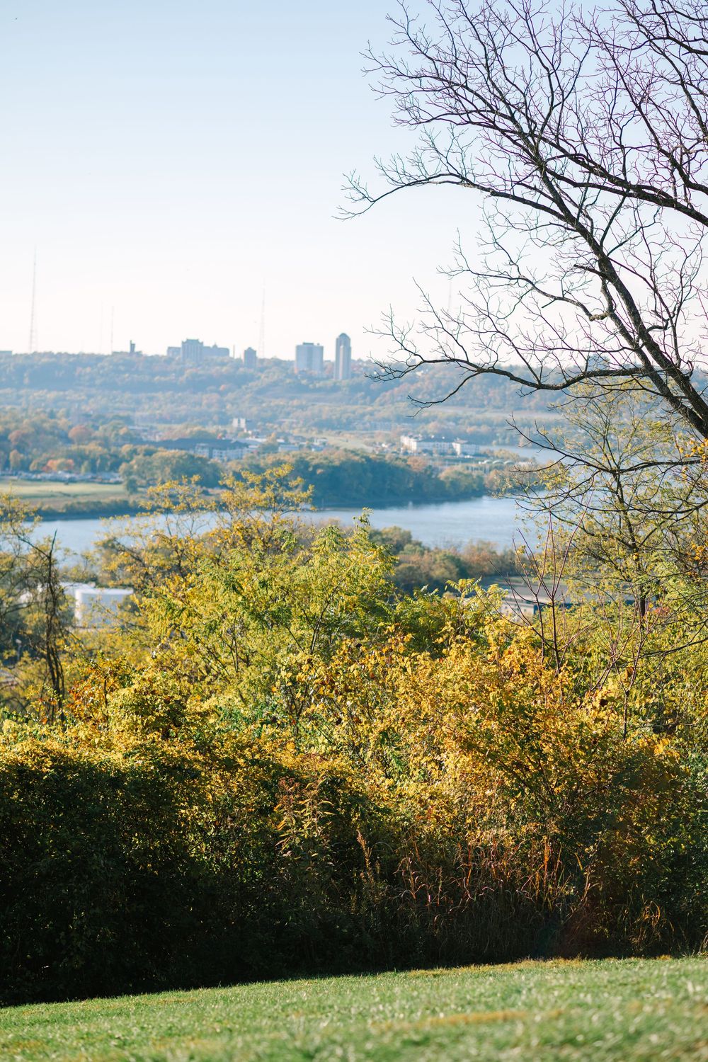 Scenic autumn cityscape view with golden foliage and distant urban skyline across a lake.