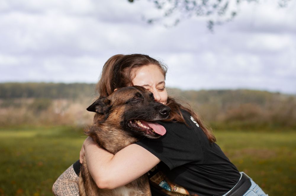 malinois photographe aveyron