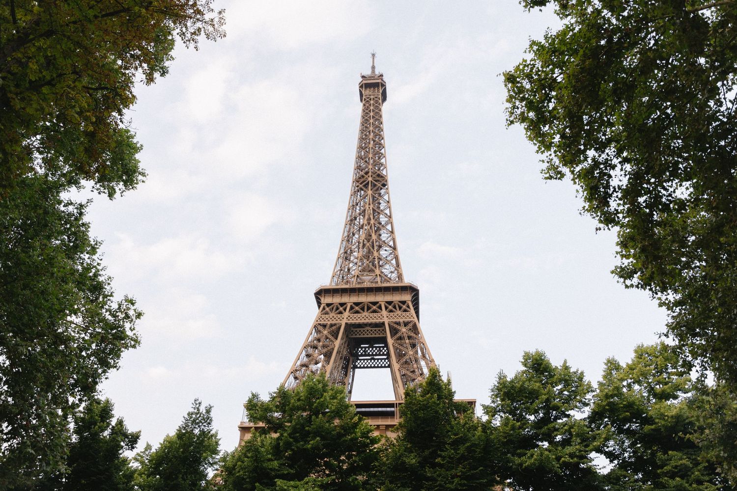 Eiffel Tower rises above green trees in Paris on a sunny day.