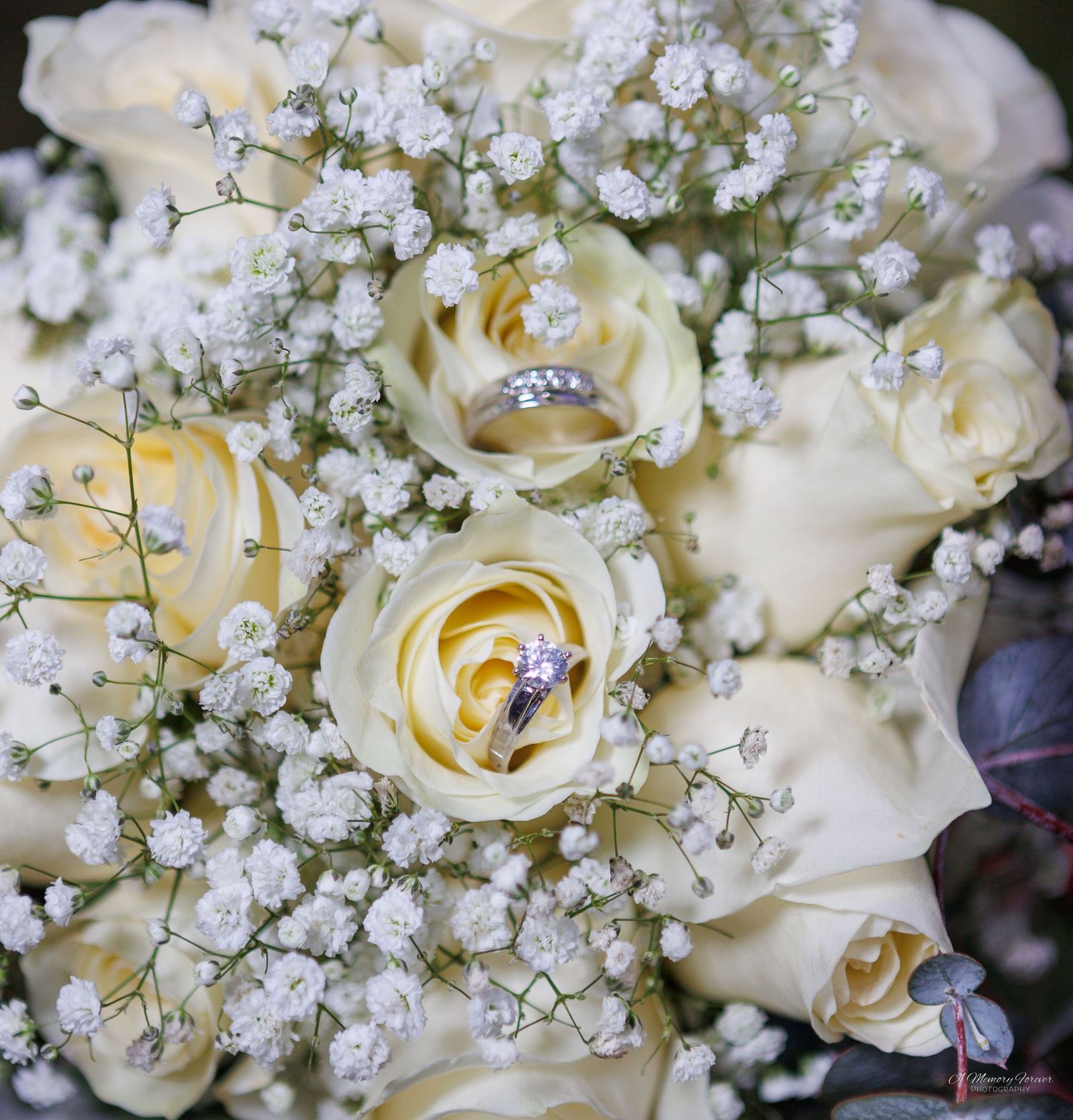 Wedding rings resting on a bridal bouquet of white roses and baby's breath flowers.