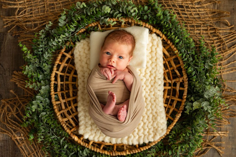 A swaddled newborn resting in a woven basket surrounded by greenery on a rustic burlap backdrop.