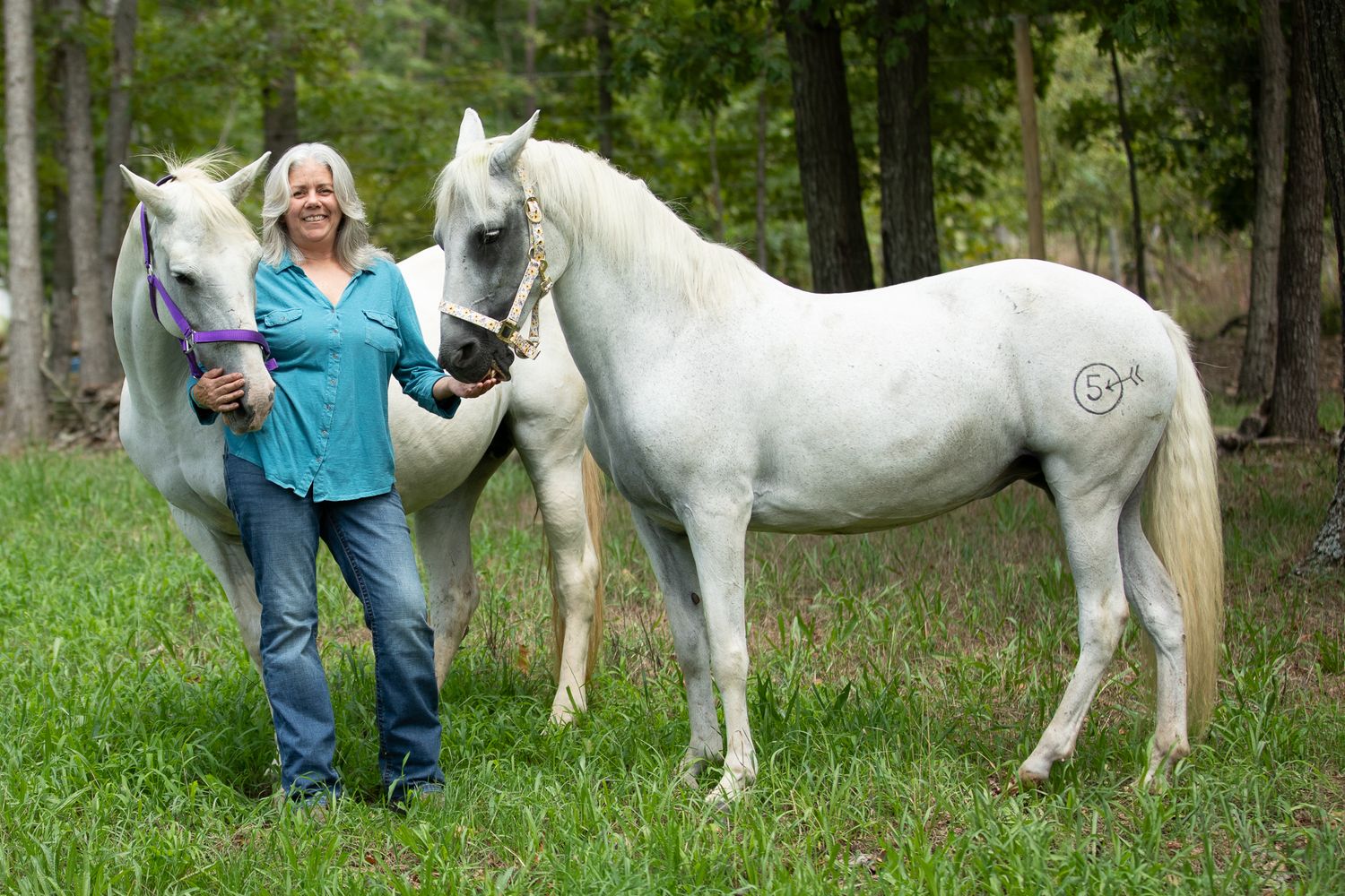 Two white horses stand in a wooded area with grass and trees in the background.