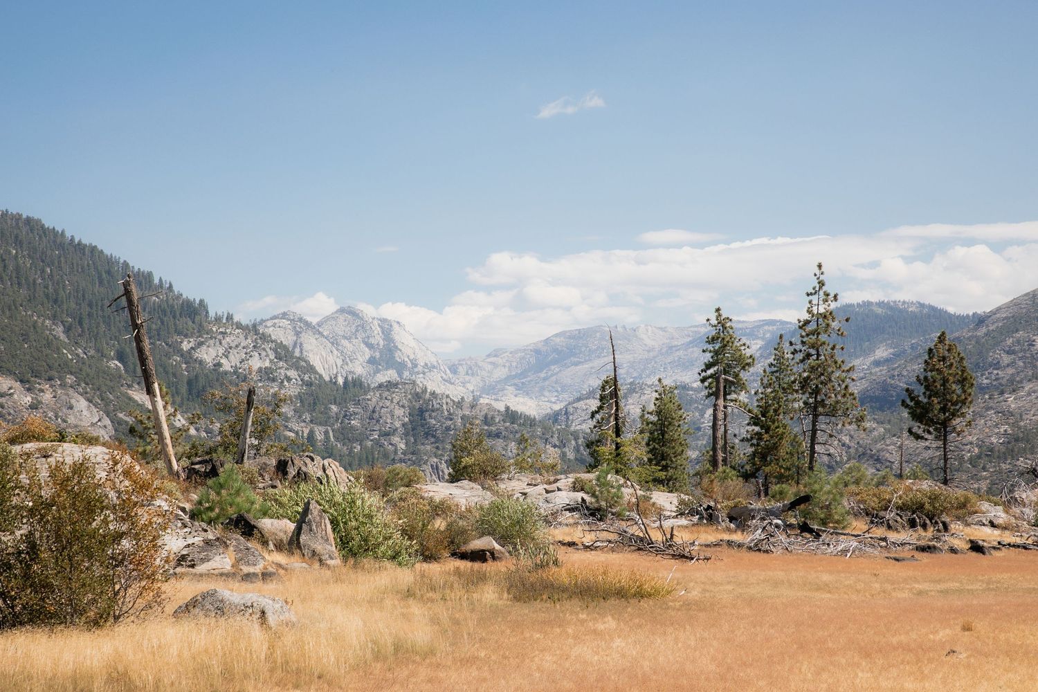 Scenic mountain landscape with pine trees and rocky terrain under bright blue sky.