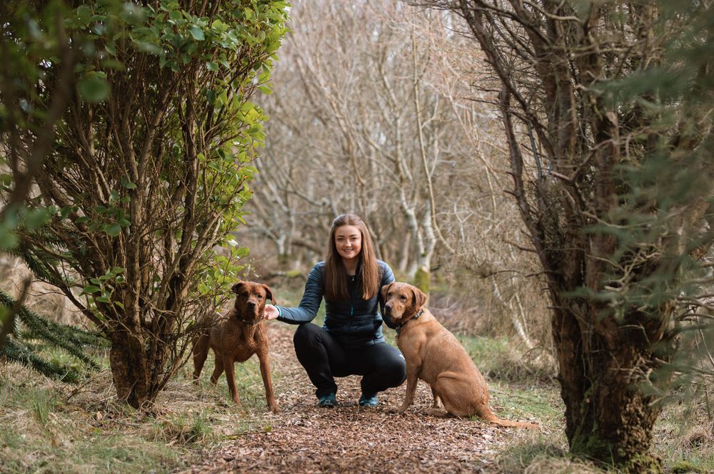 Dogs and their owner enjoying an autumn day on a wooded trail surrounded by bare trees.