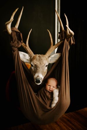 Creative newborn photo with baby in brown fabric sling beneath mounted deer head on dark background.