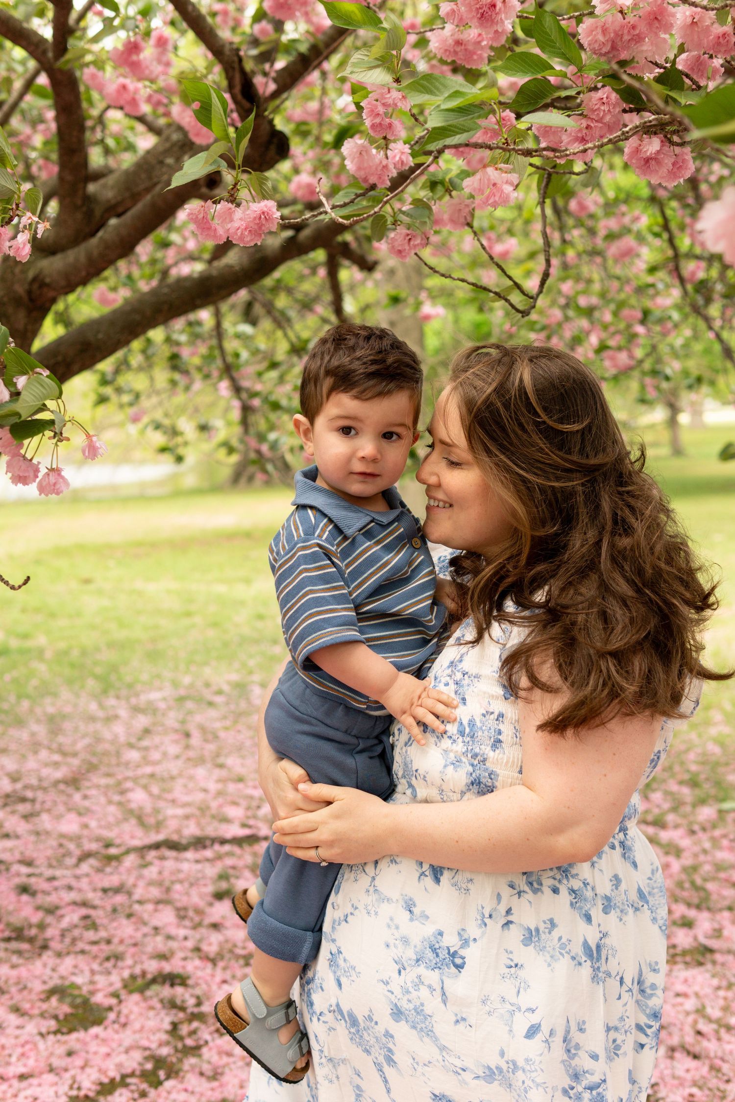 A springtime scene under blooming pink cherry blossoms with a floral dress against a soft grass background.