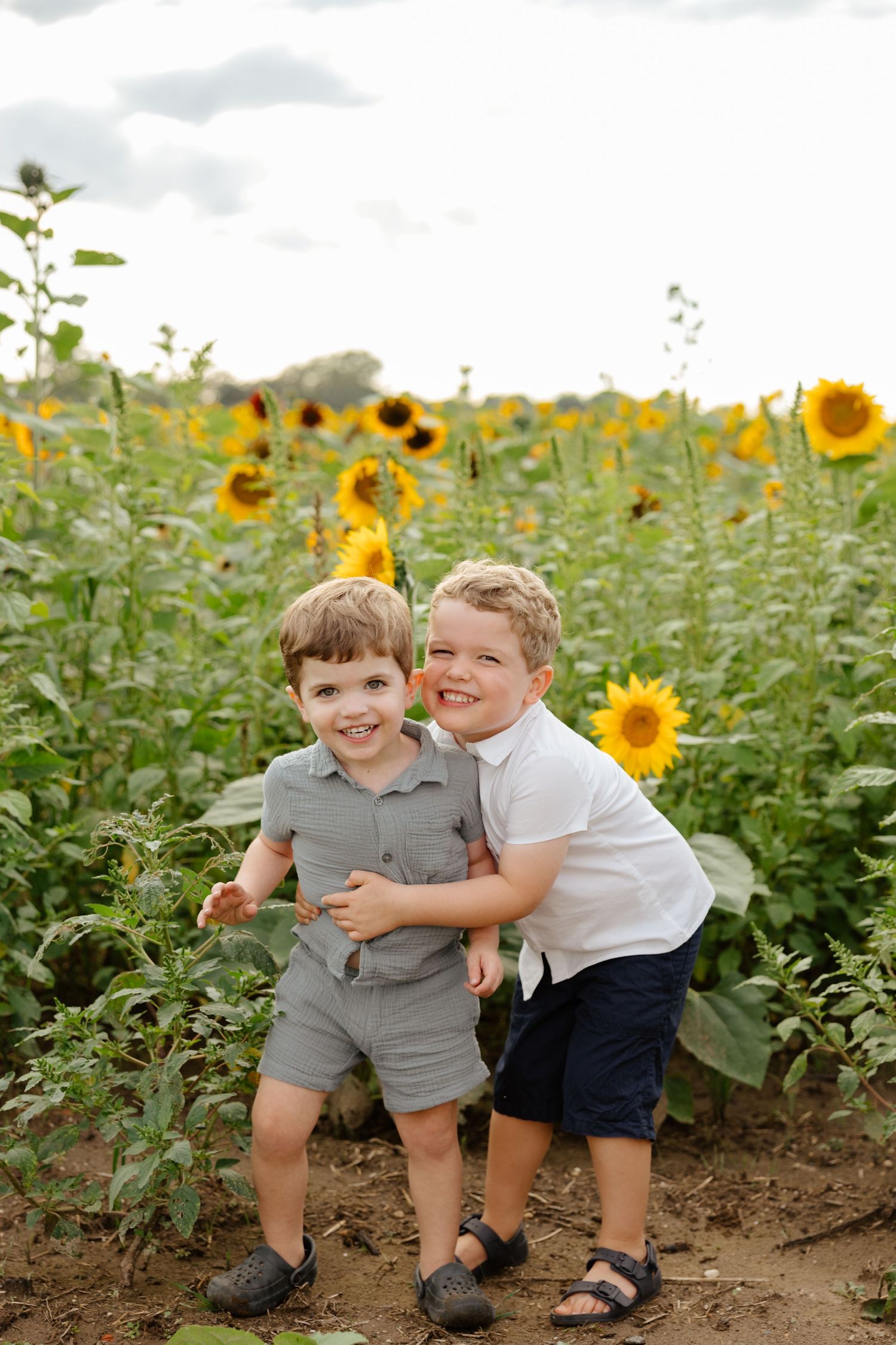 Two young children share a sweet moment while sitting together in a vibrant sunflower field on a sunny day.