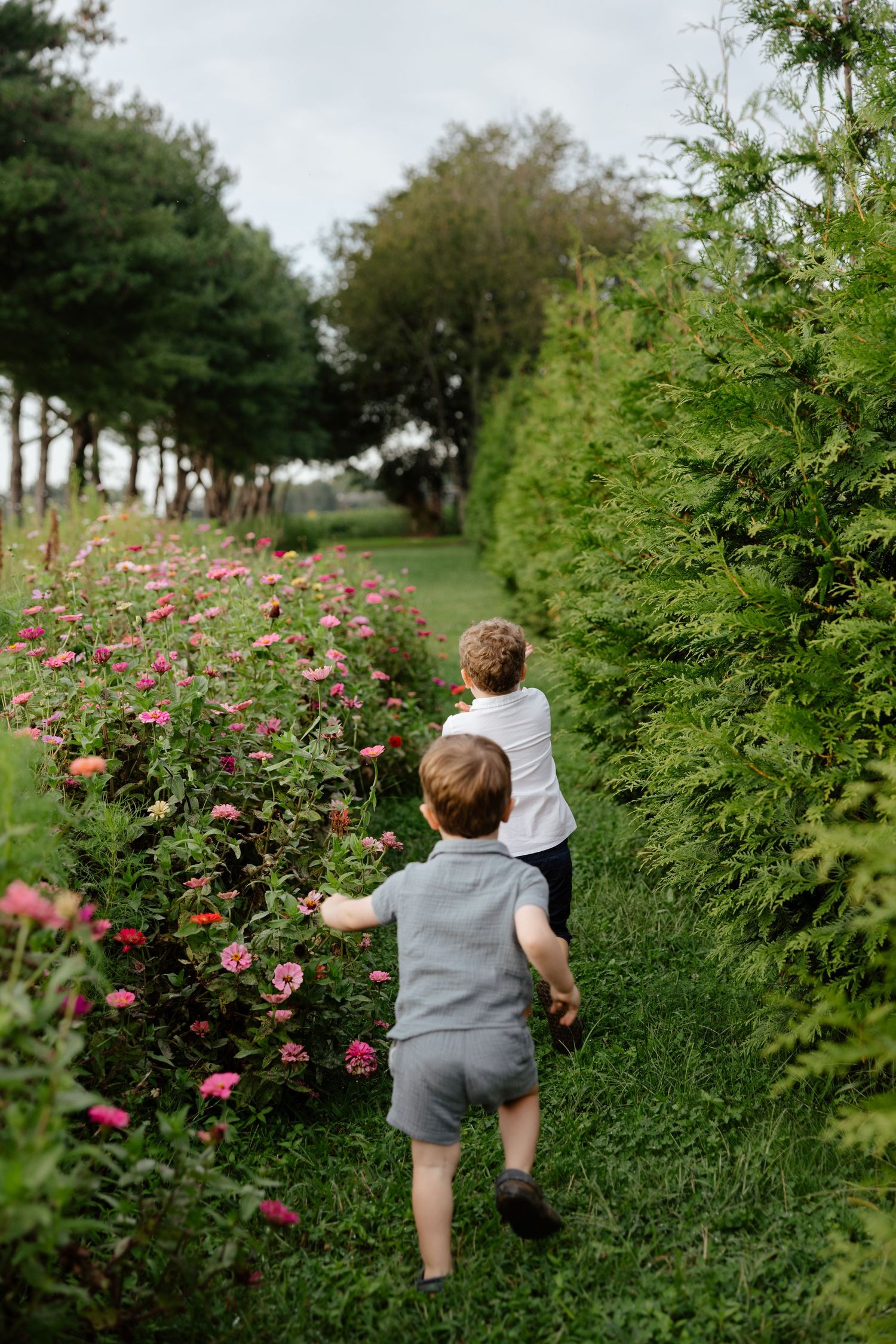 A child exploring pink rose bushes in a lush garden path under a green canopy of trees.