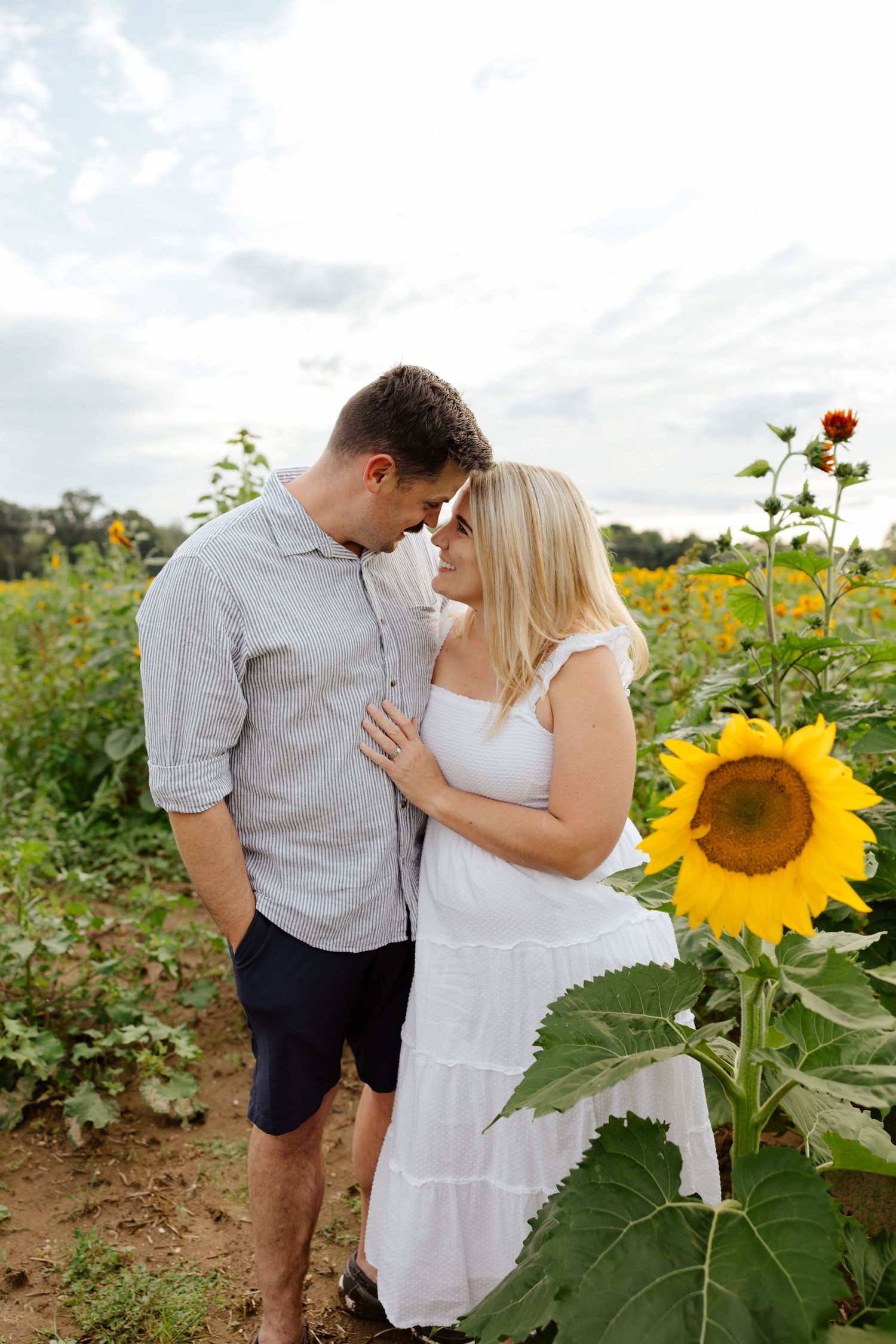 A romantic moment captured in a sunflower field during golden hour, surrounded by blooming sunflowers and greenery.